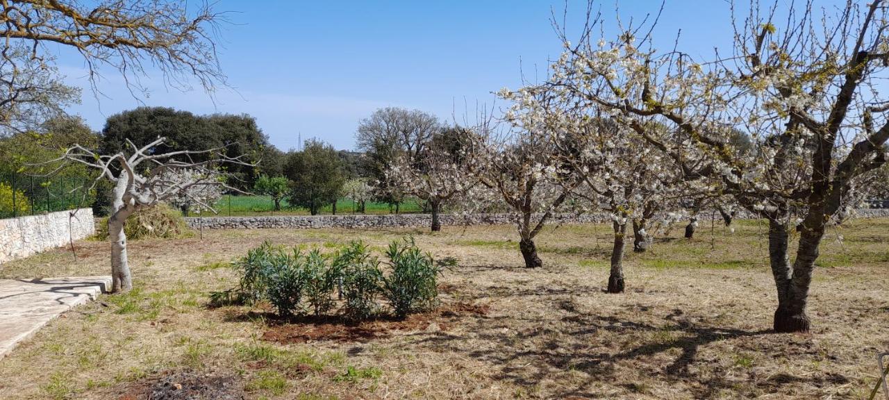 Locazione Turistica San Giorgio Διαμέρισμα Putignano Εξωτερικό φωτογραφία